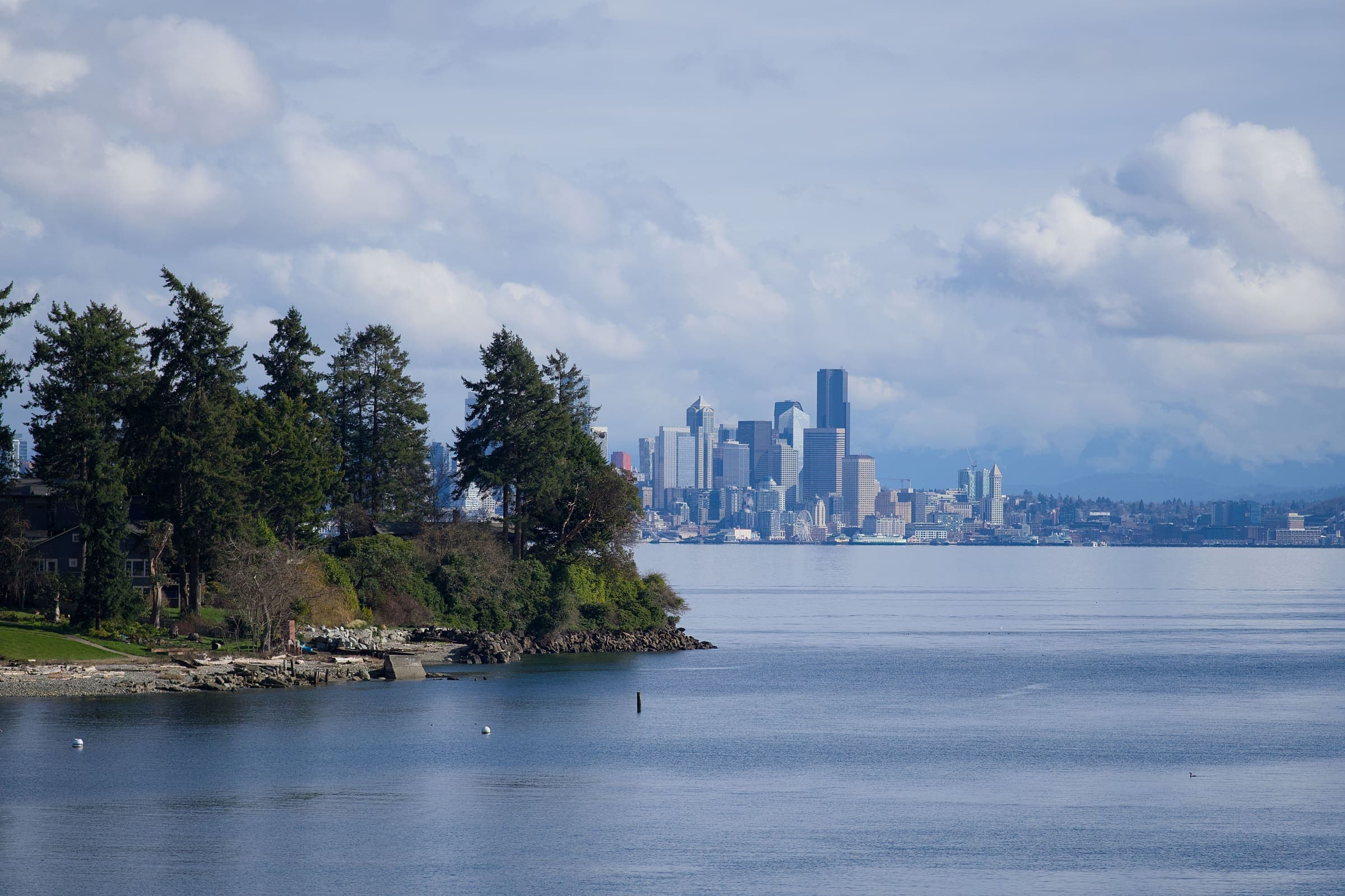 The Seattle skyline seen across the water from a wooded shoreline