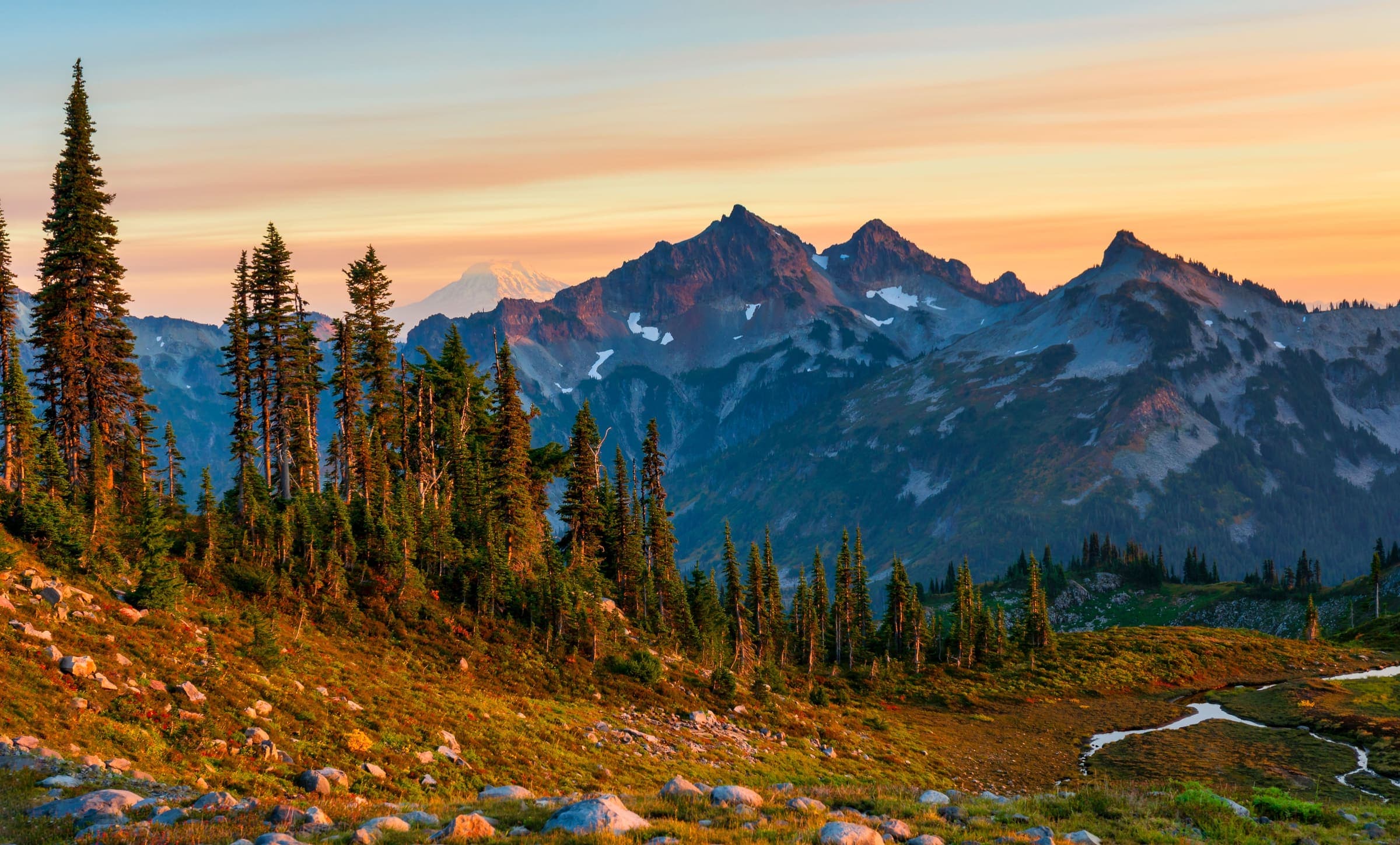 Mountain peaks above an alpine meadow in Washington at sunset